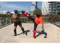 Détails : MMA, Boxe et Kickboxing coaching